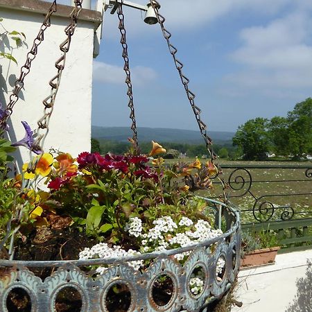 Dean Valley Panorama Bed & Breakfast Lydney Ngoại thất bức ảnh